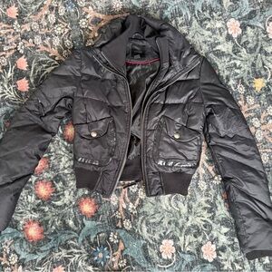 Y2K Express Women's Black Puffer Crop Jacket - Duck Down